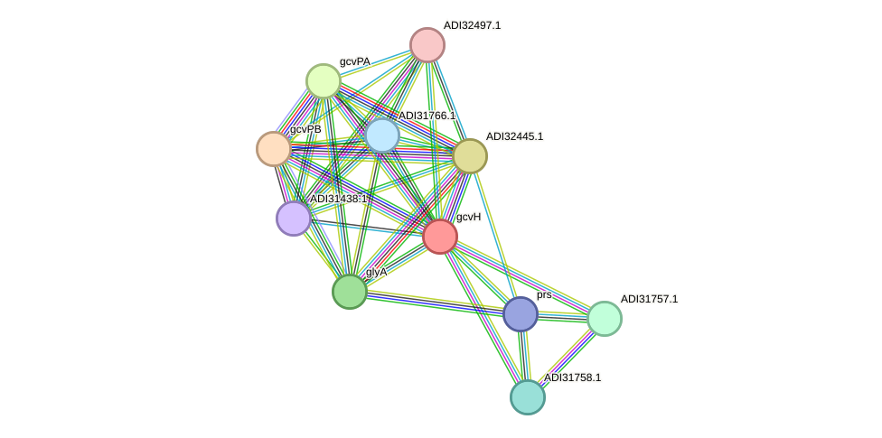 STRING protein interaction network