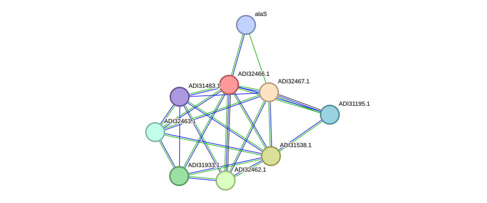 STRING protein interaction network