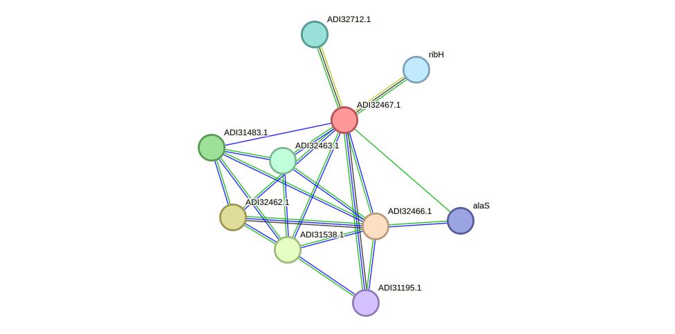 STRING protein interaction network