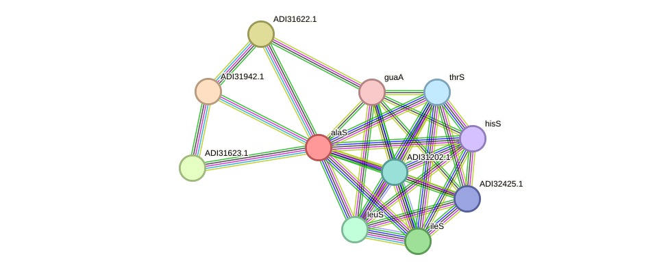 STRING protein interaction network