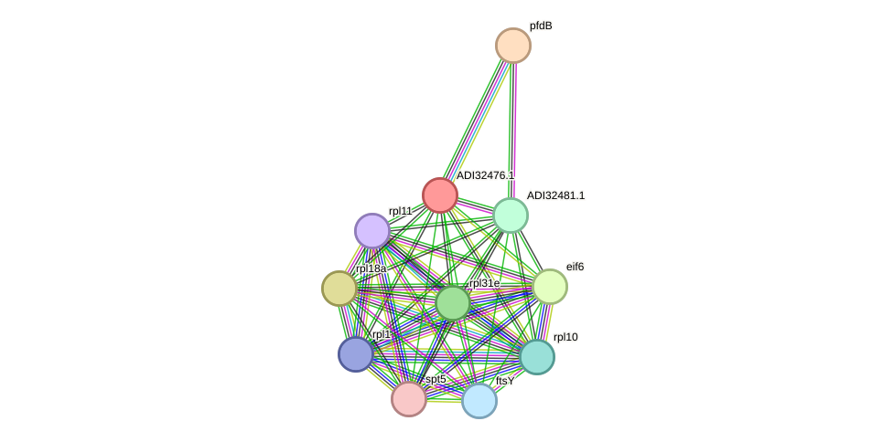 STRING protein interaction network