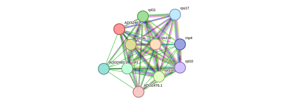 STRING protein interaction network
