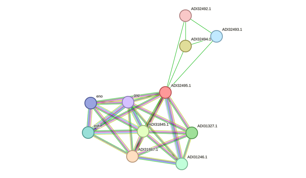 STRING protein interaction network