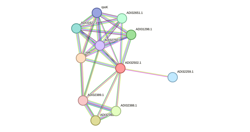 STRING protein interaction network