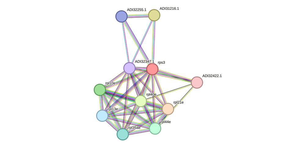 STRING protein interaction network
