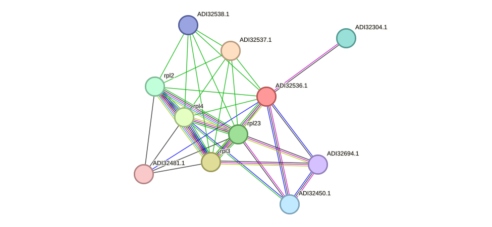 STRING protein interaction network