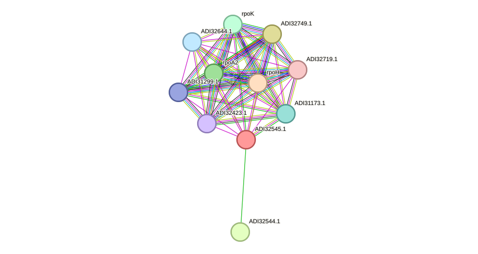 STRING protein interaction network