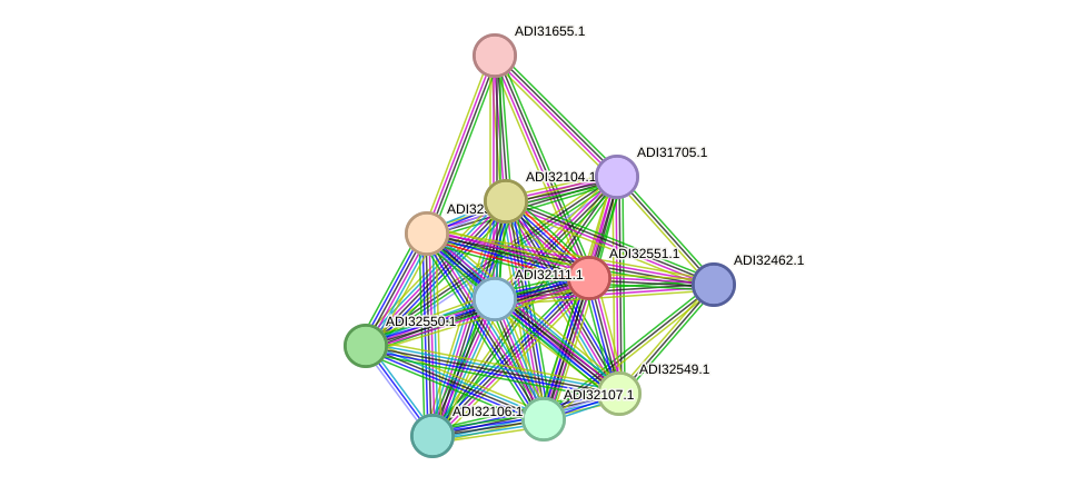 STRING protein interaction network