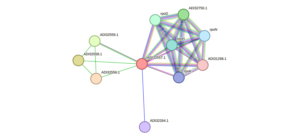 STRING protein interaction network
