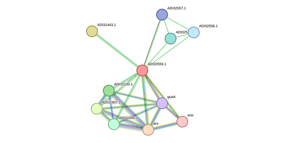 STRING protein interaction network