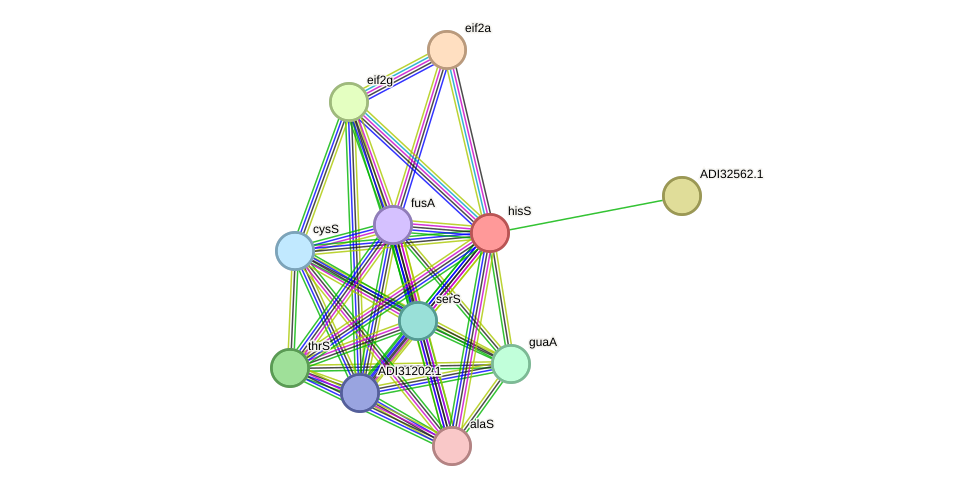 STRING protein interaction network