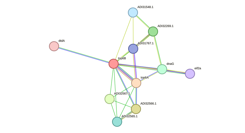 STRING protein interaction network