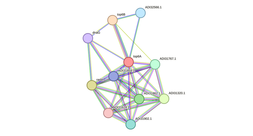 STRING protein interaction network