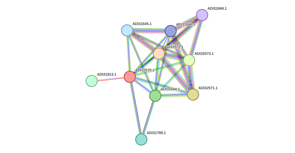 STRING protein interaction network