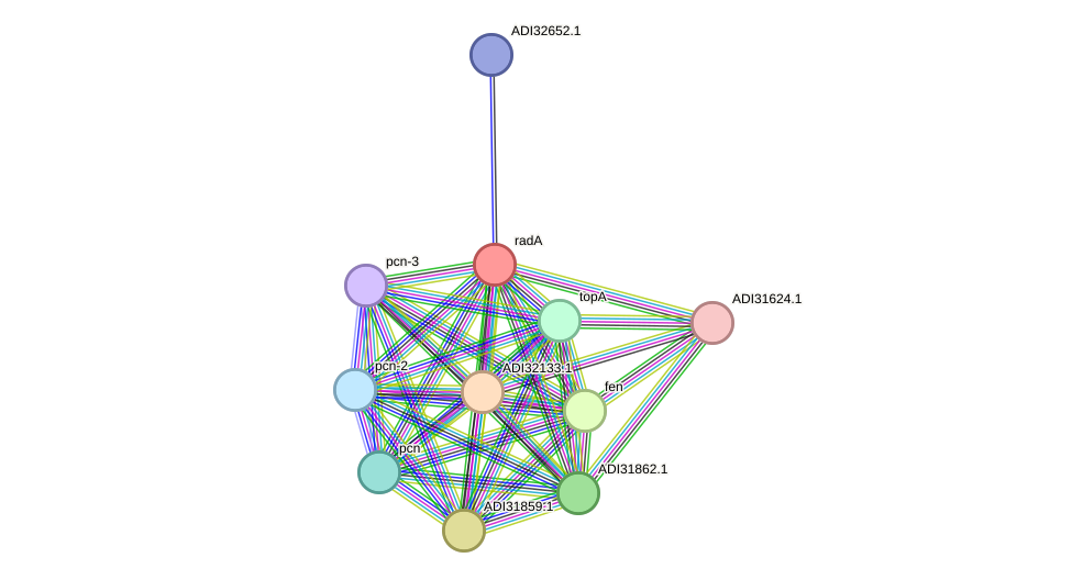 STRING protein interaction network