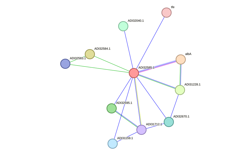 STRING protein interaction network