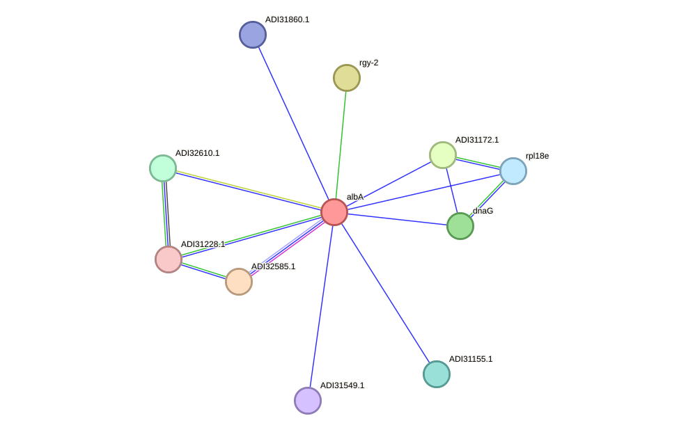 STRING protein interaction network