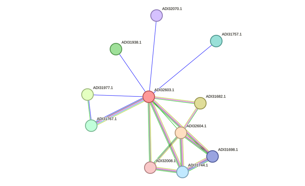 STRING protein interaction network