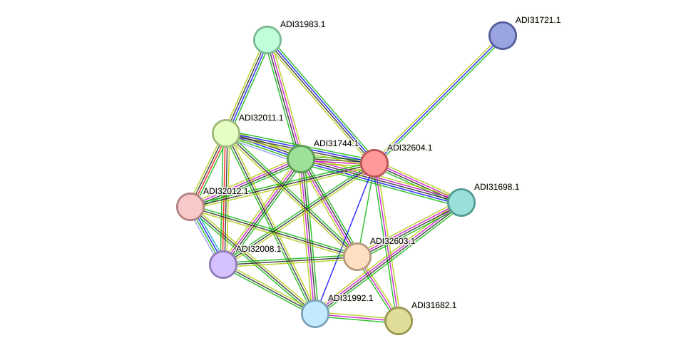 STRING protein interaction network