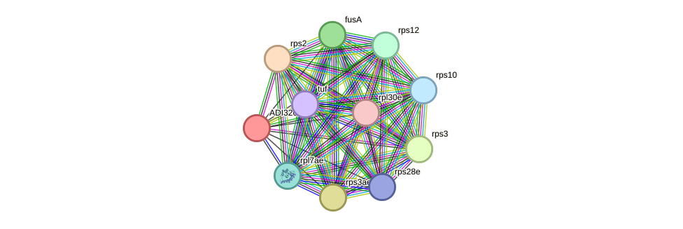STRING protein interaction network