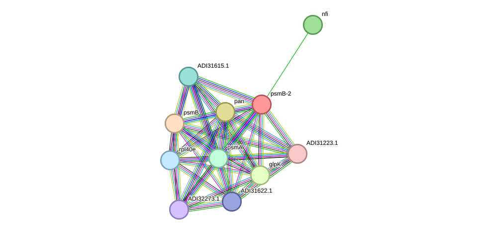 STRING protein interaction network