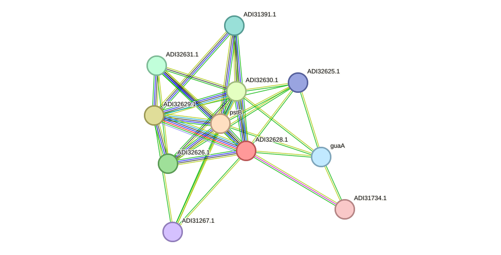 STRING protein interaction network