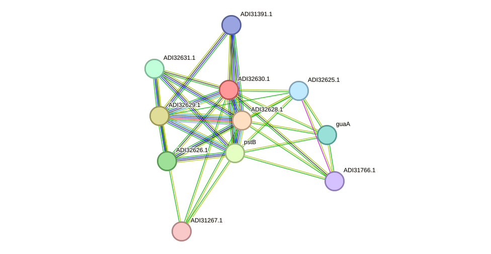 STRING protein interaction network