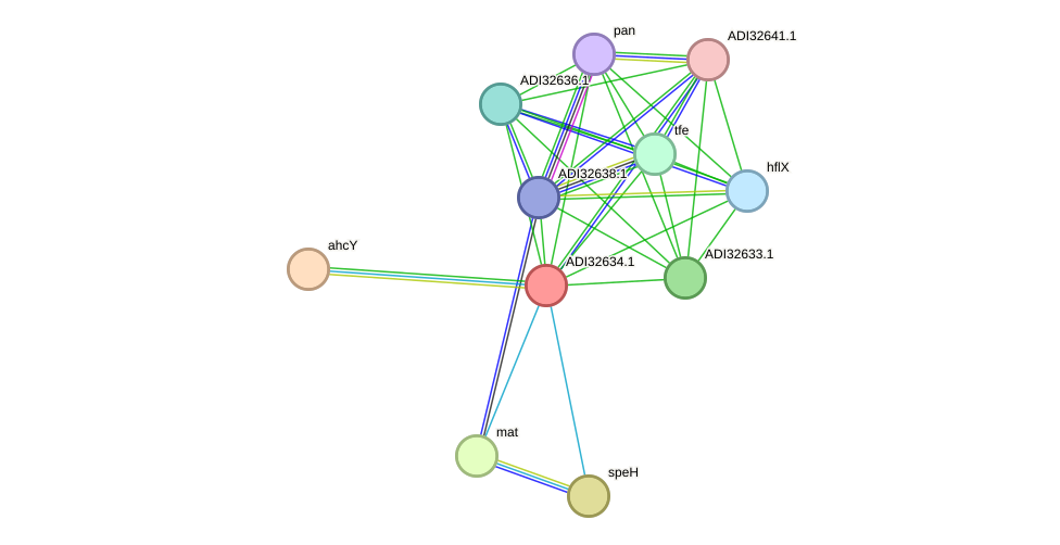 STRING protein interaction network
