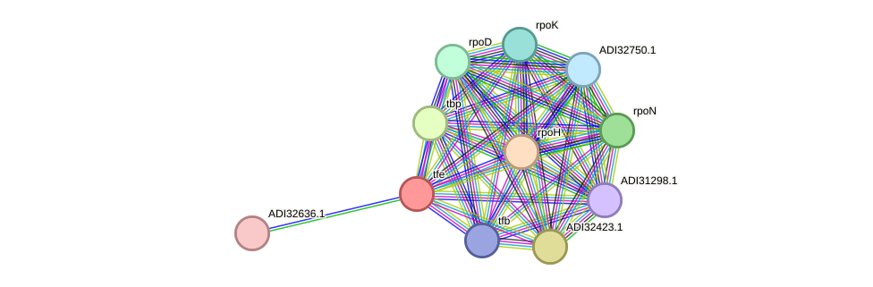 STRING protein interaction network