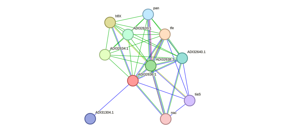 STRING protein interaction network