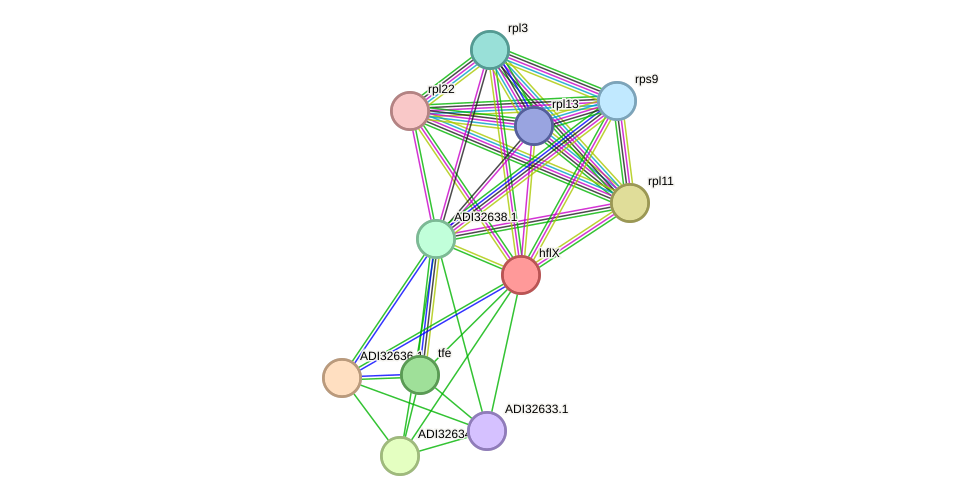 STRING protein interaction network
