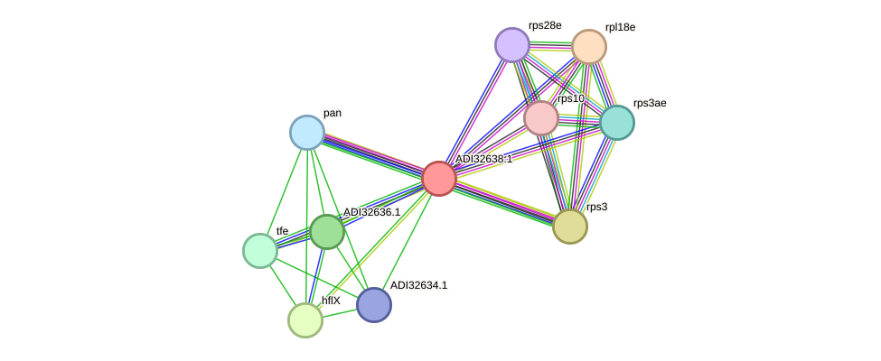 STRING protein interaction network