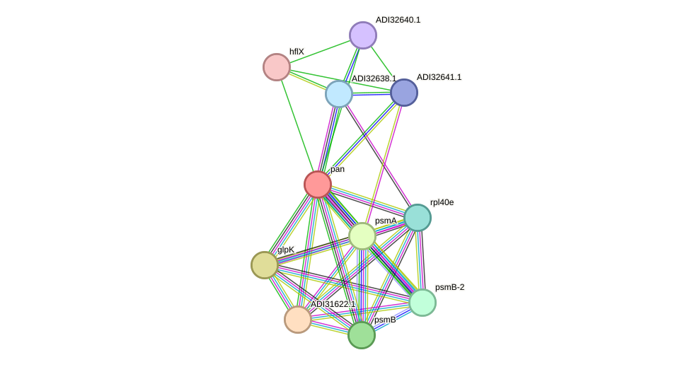STRING protein interaction network