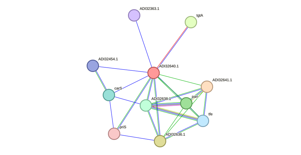 STRING protein interaction network