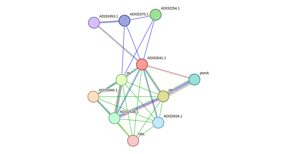 STRING protein interaction network