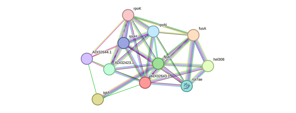 STRING protein interaction network