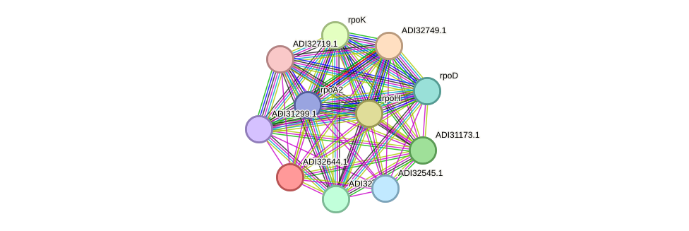 STRING protein interaction network