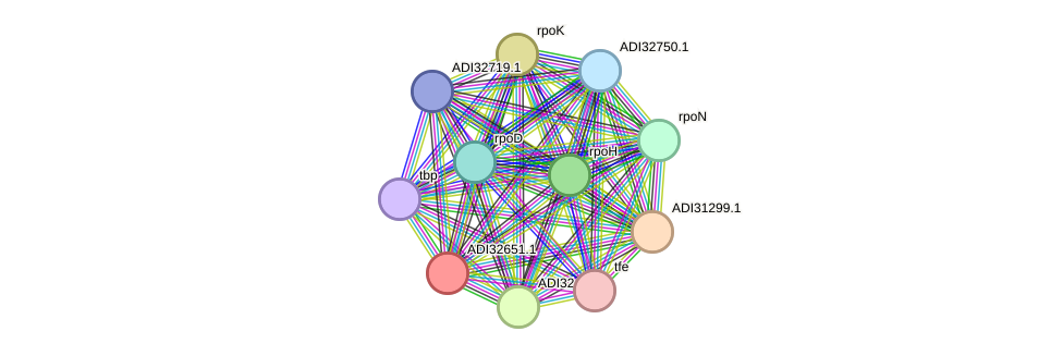 STRING protein interaction network