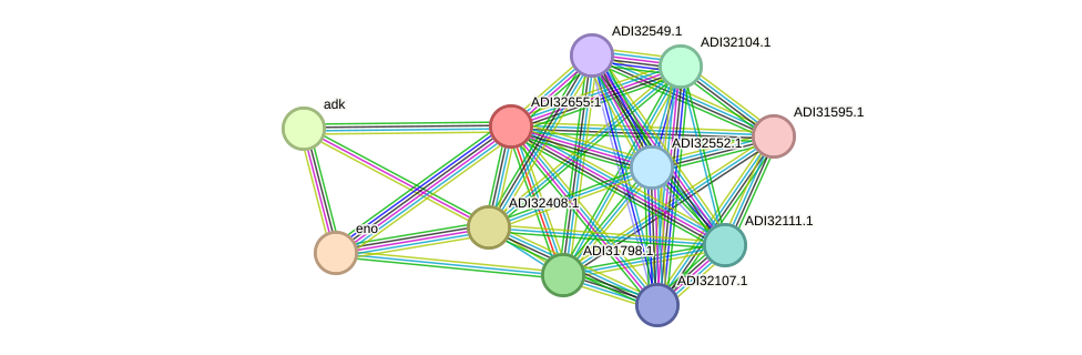 STRING protein interaction network