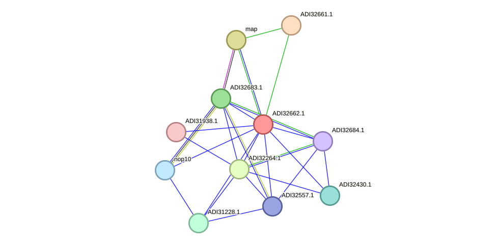 STRING protein interaction network