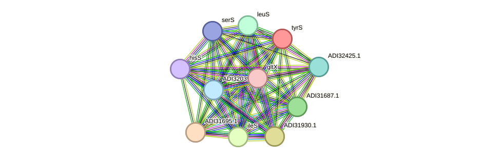STRING protein interaction network