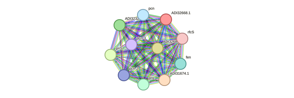 STRING protein interaction network