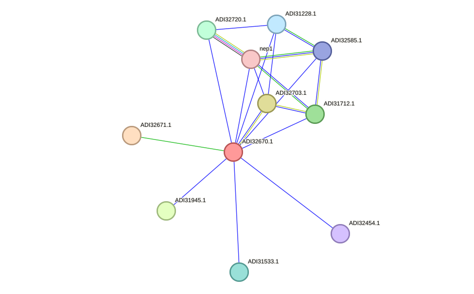 STRING protein interaction network