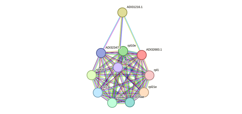 STRING protein interaction network