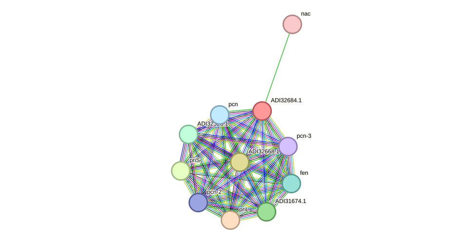 STRING protein interaction network