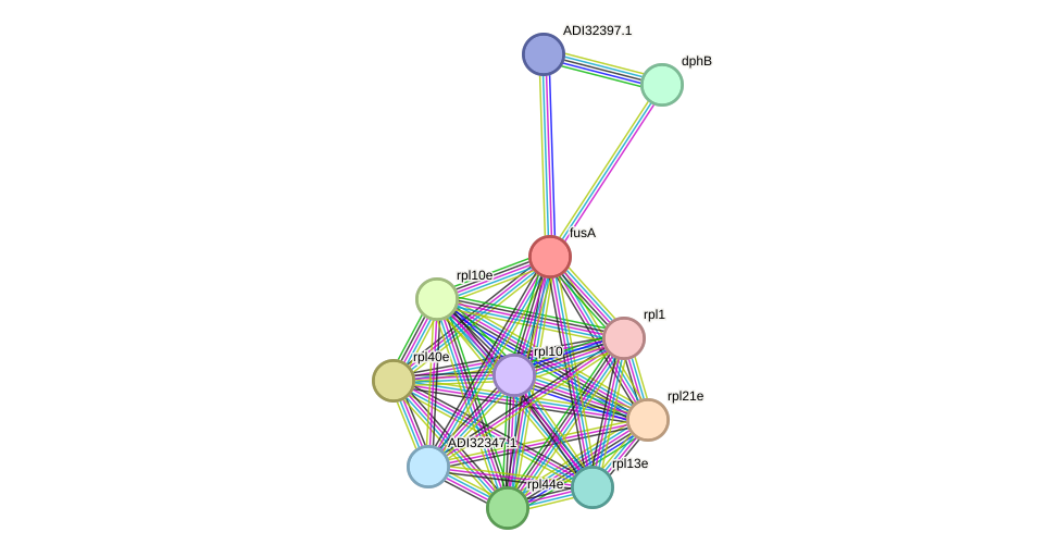 STRING protein interaction network