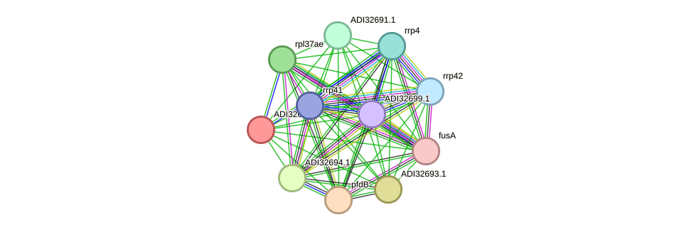 STRING protein interaction network
