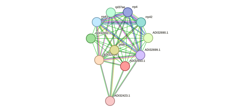 STRING protein interaction network