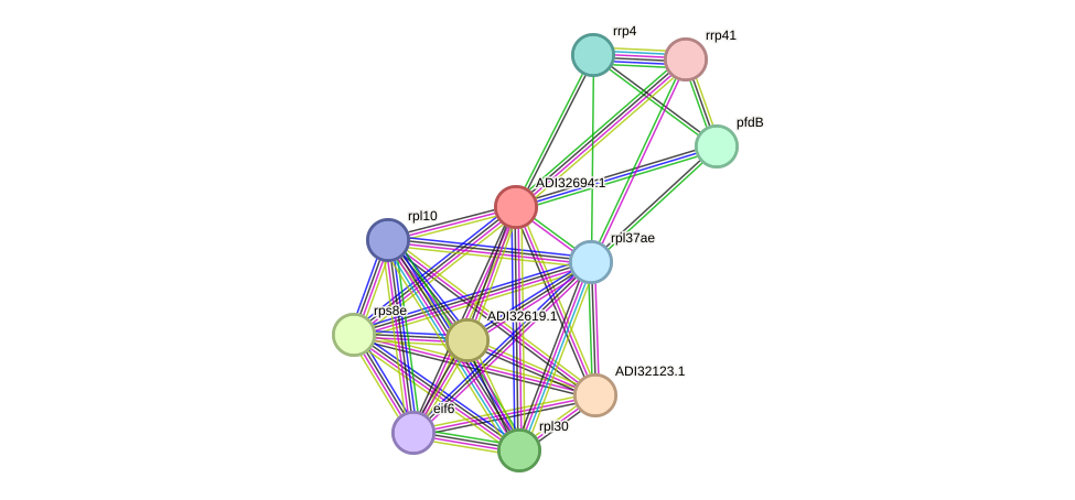 STRING protein interaction network