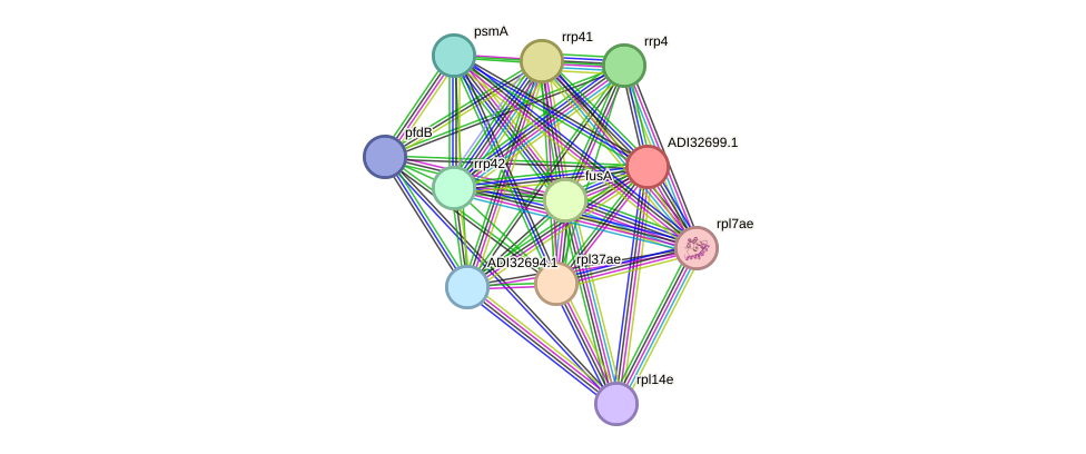 STRING protein interaction network